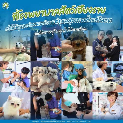 CRPH team and pets